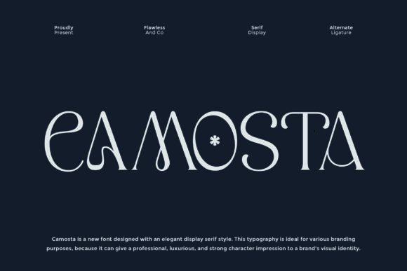 Camosta Font Review: Elevating Digital Brand Identity